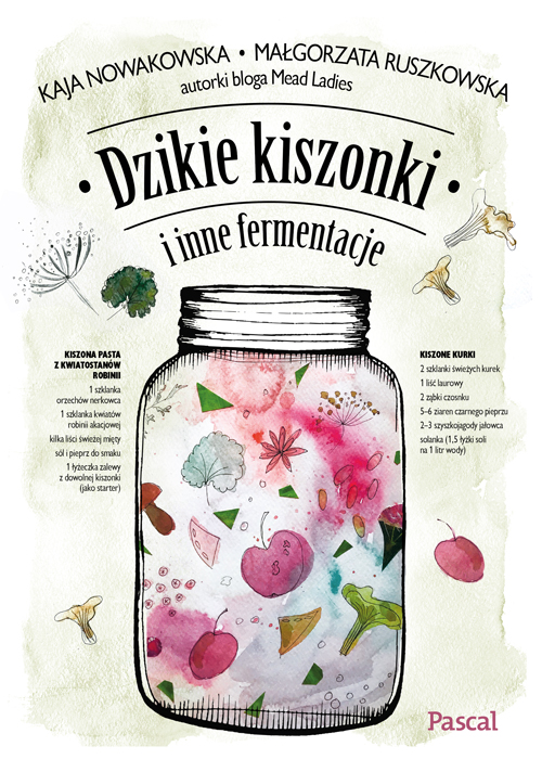Projekt okładki „Dzikie kiszonki i inne fermentacje”.